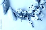 preview cold