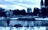preview cold