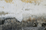 preview original