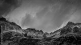 preview bw