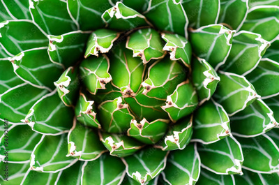 image to crop