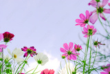 preview original