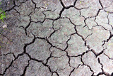 preview original