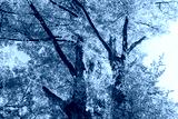 preview cold