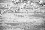 preview bw