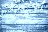 preview cold