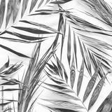 preview bw