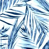 preview cold