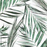preview original