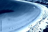 preview cold