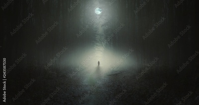 image to crop