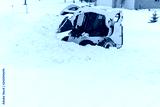 preview cold
