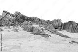 preview bw