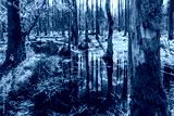 preview cold