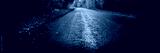 preview cold