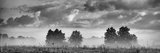 preview original