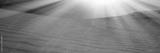 preview bw