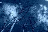 preview cold