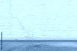 preview cold