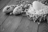preview bw