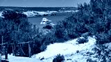 preview cold