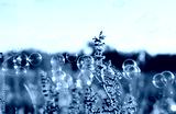 preview cold