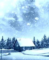 preview cold