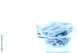 preview cold