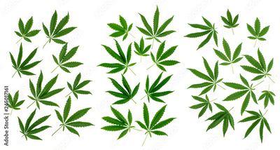 image to crop
