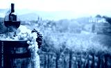 preview cold
