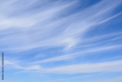 image to crop