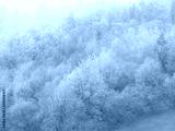 preview cold
