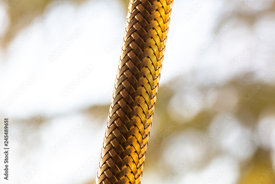 image to crop