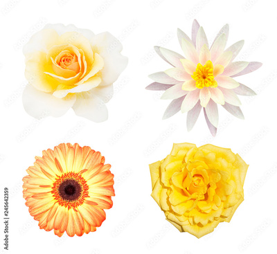 image to crop