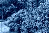 preview cold