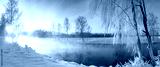 preview cold