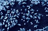 preview cold