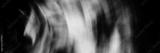 preview bw