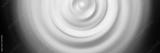 preview bw