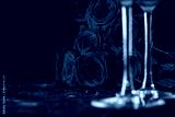 preview cold