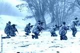preview cold