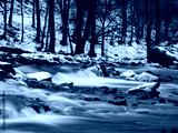 preview cold