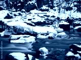 preview cold