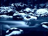 preview cold