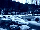 preview cold