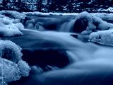 preview cold