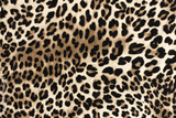 preview original