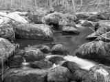 preview bw