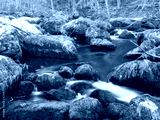 preview cold