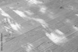 preview bw